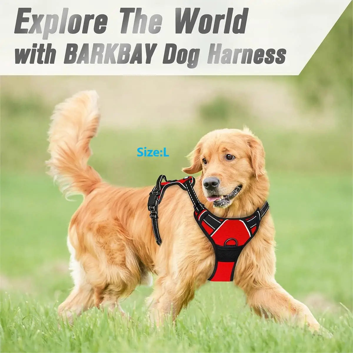 Adjustable No-Pull Dog Harness — Front Clip, Reflective, Control Handle